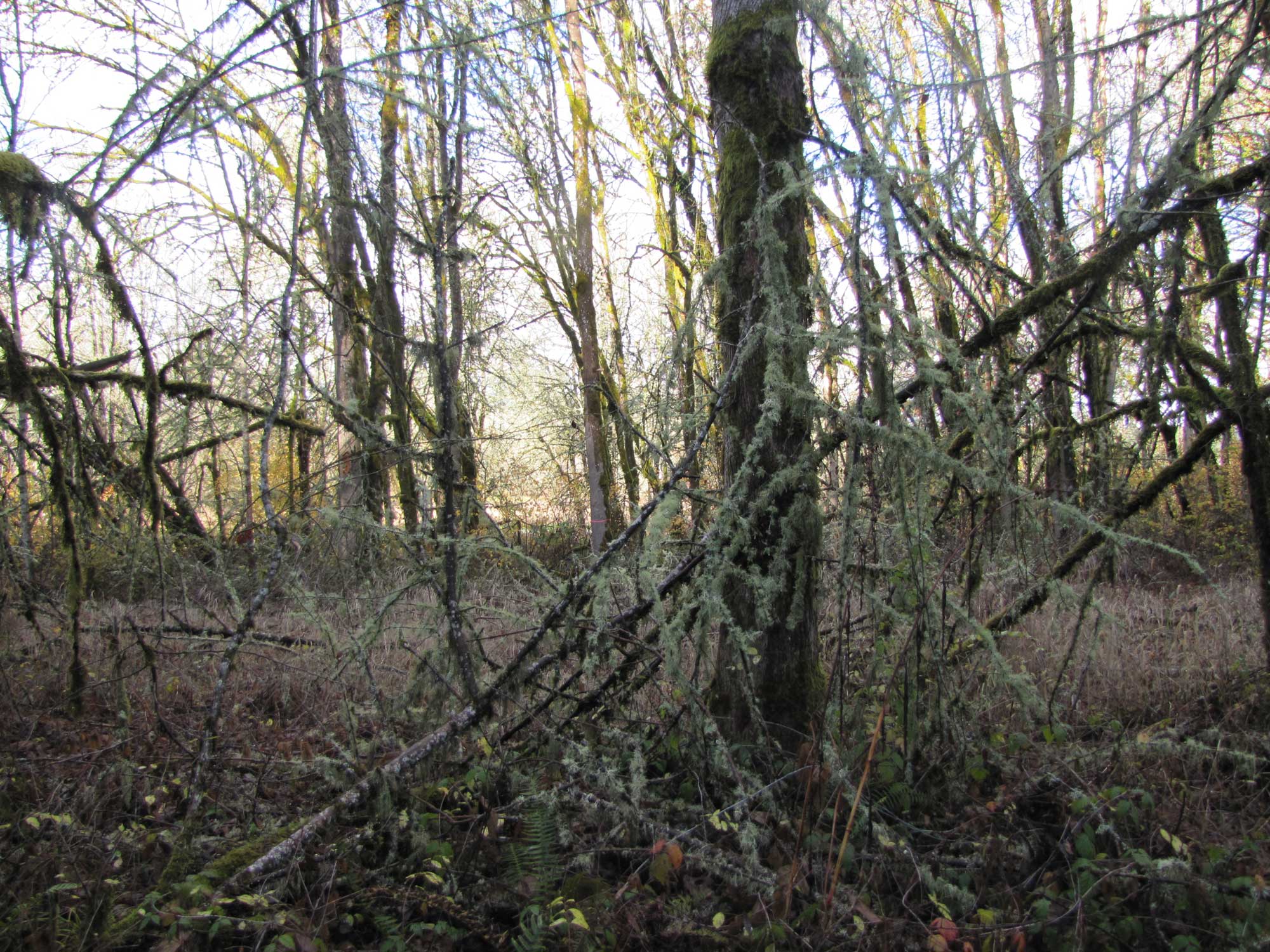 Fall 2017 Photopoint 9B