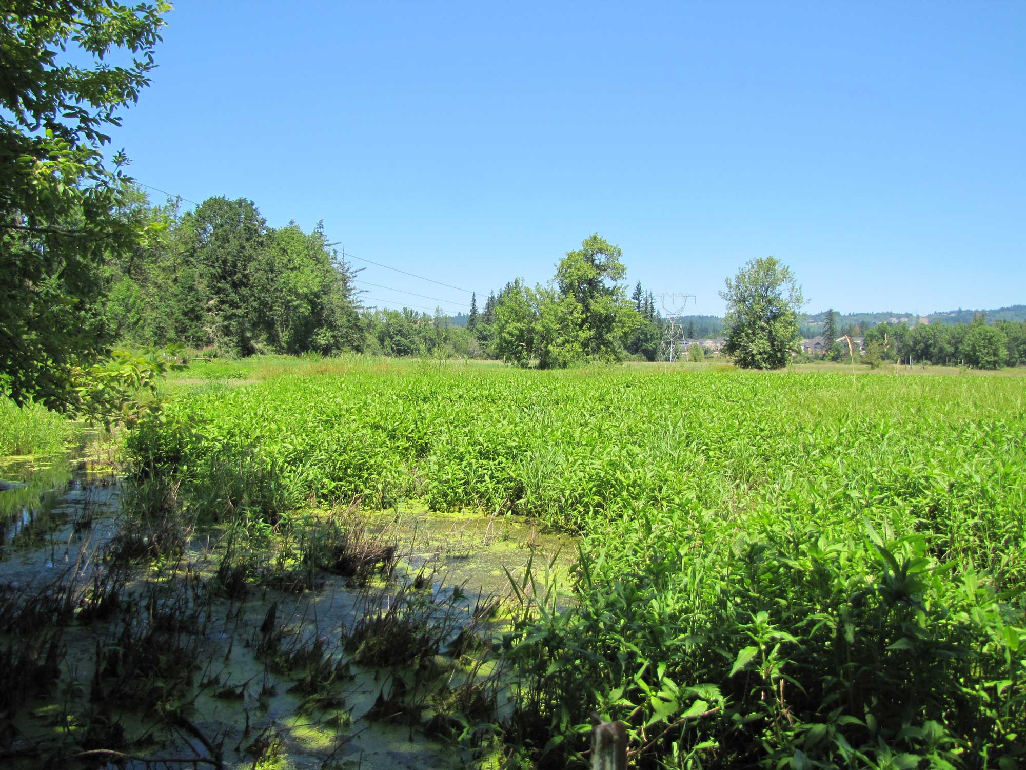 Summer 2017 Photopoint 10A