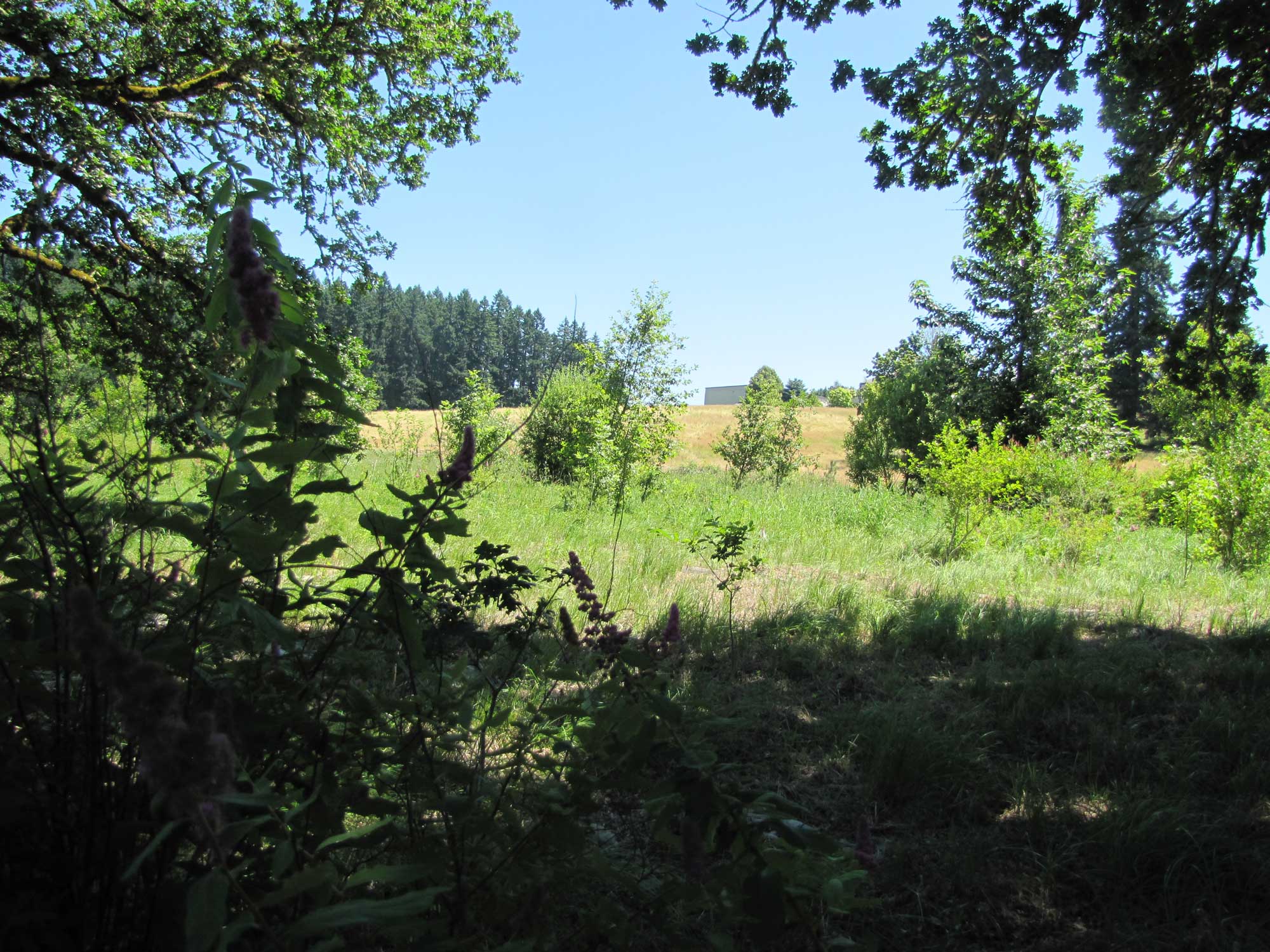 Summer 2017 Photopoint 11A