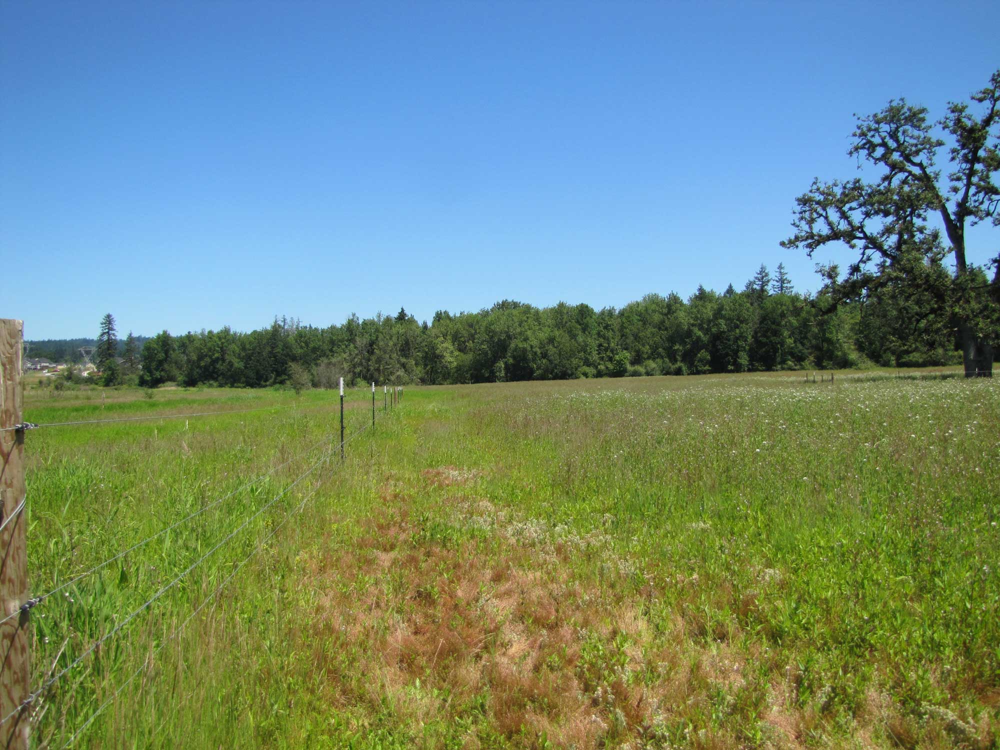 Summer 2017 Photopoint 12A