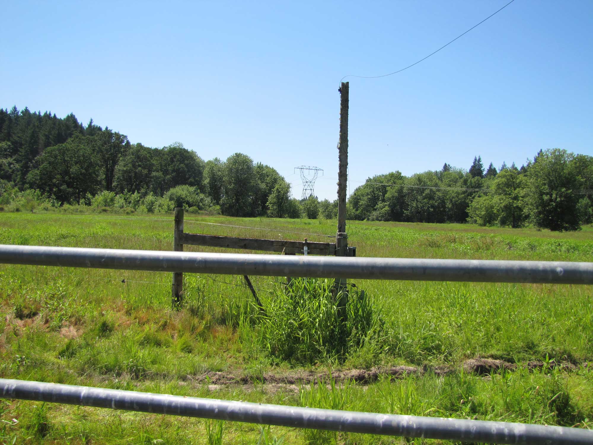 Summer 2017 Photopoint 12B