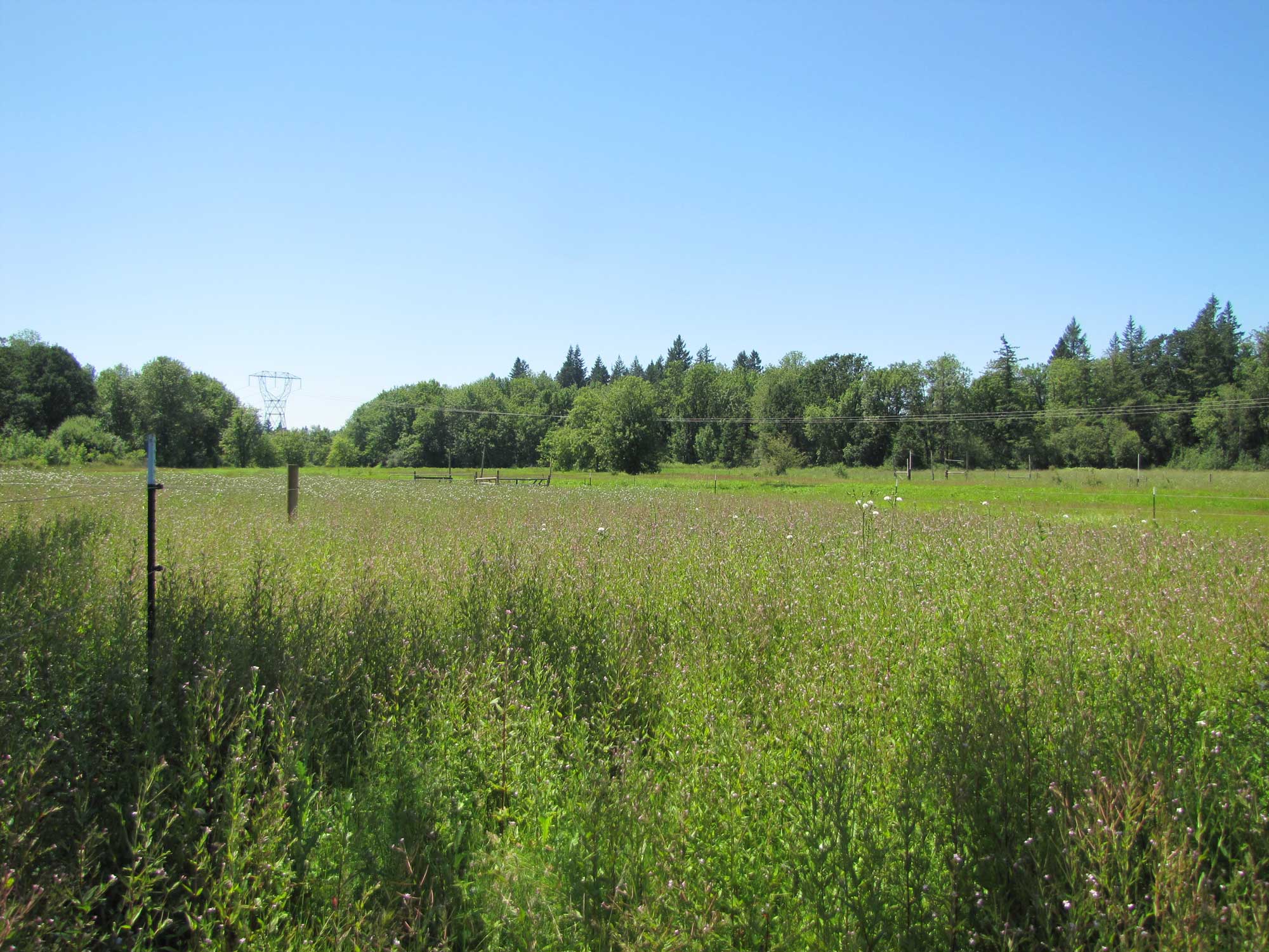 Summer 2017 Photopoint 13D