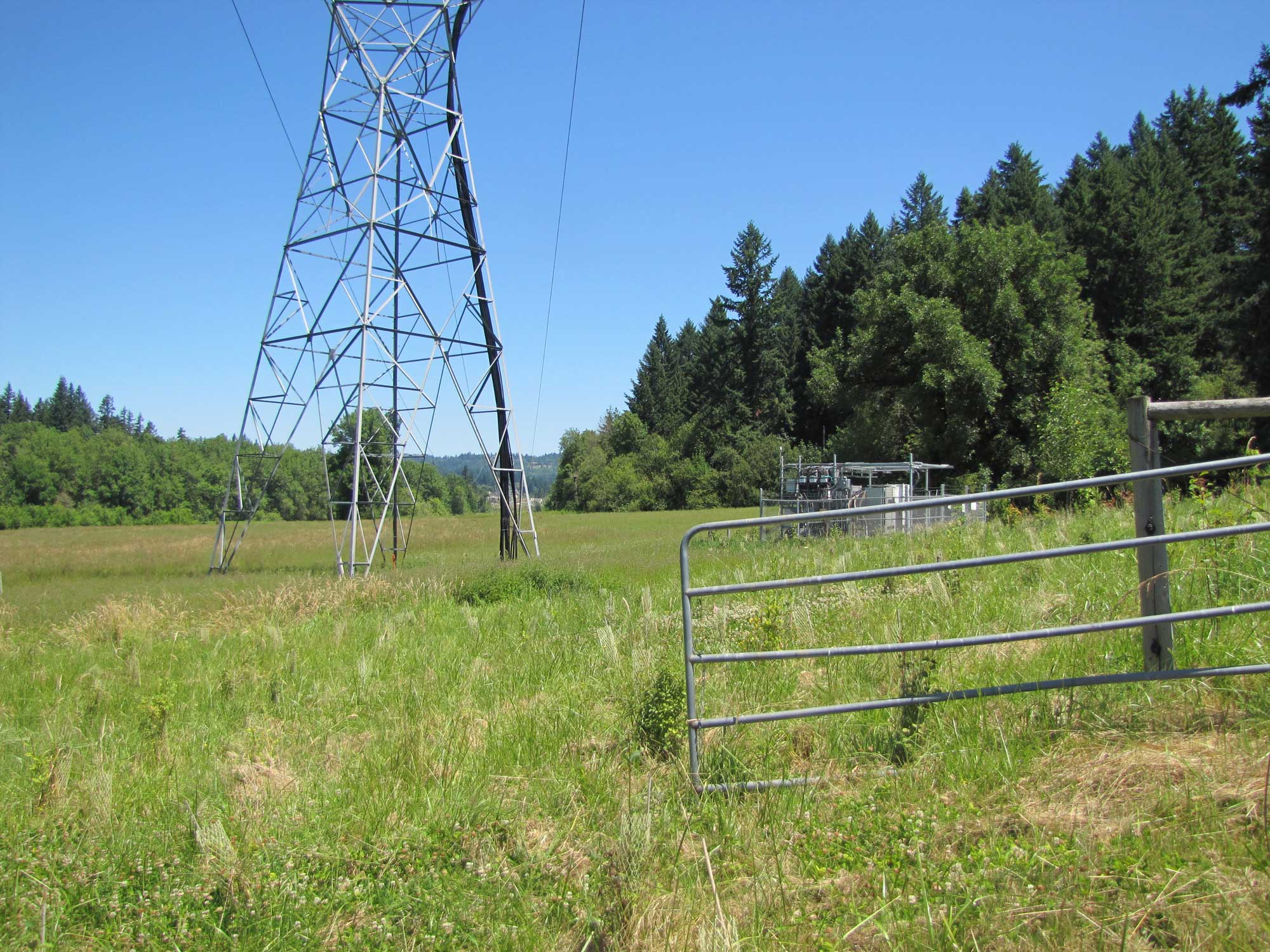 Summer 2017 Photopoint 4A