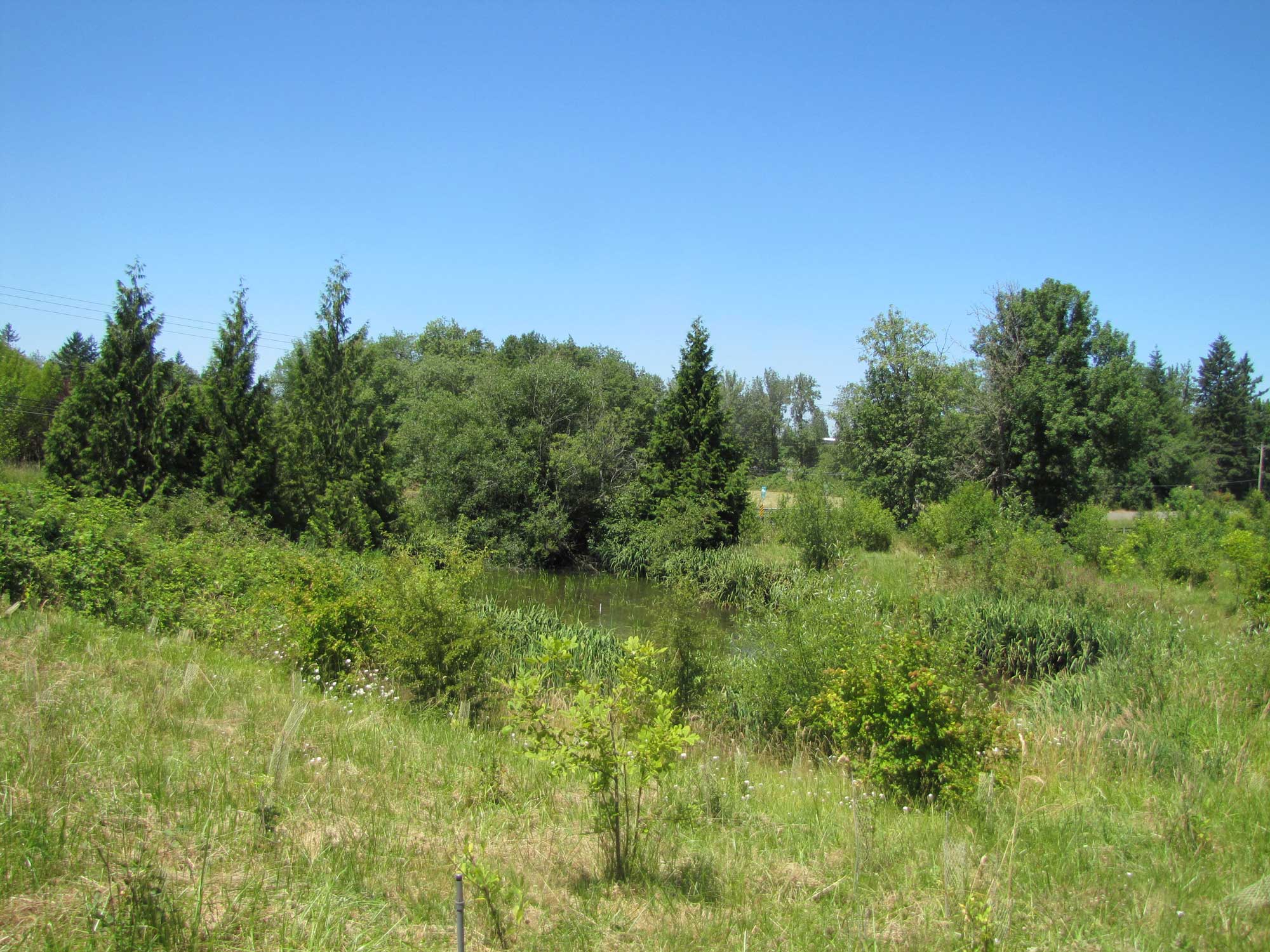 Summer 2017 Photopoint 4B