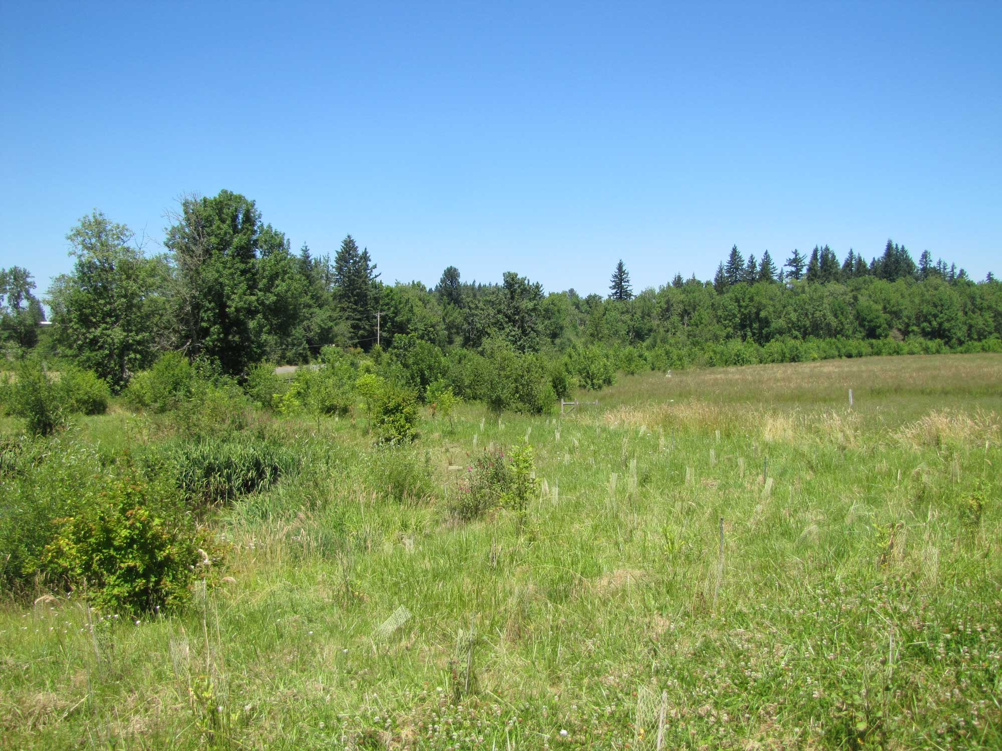 Summer 2017 Photopoint 4C