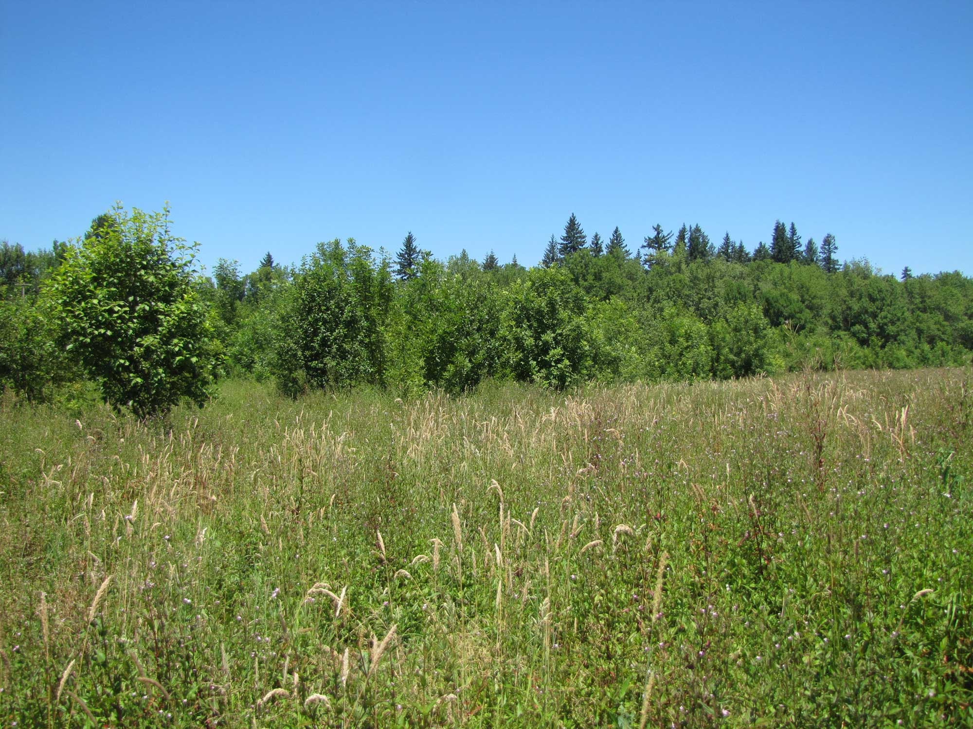 Summer 2017 Photopoint 6A