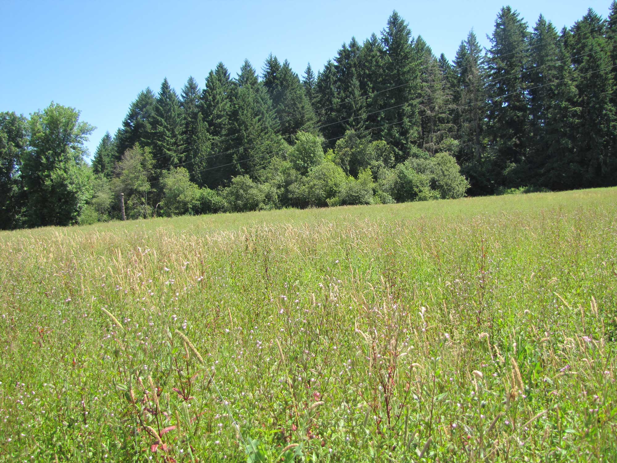 Summer 2017 Photopoint 6B