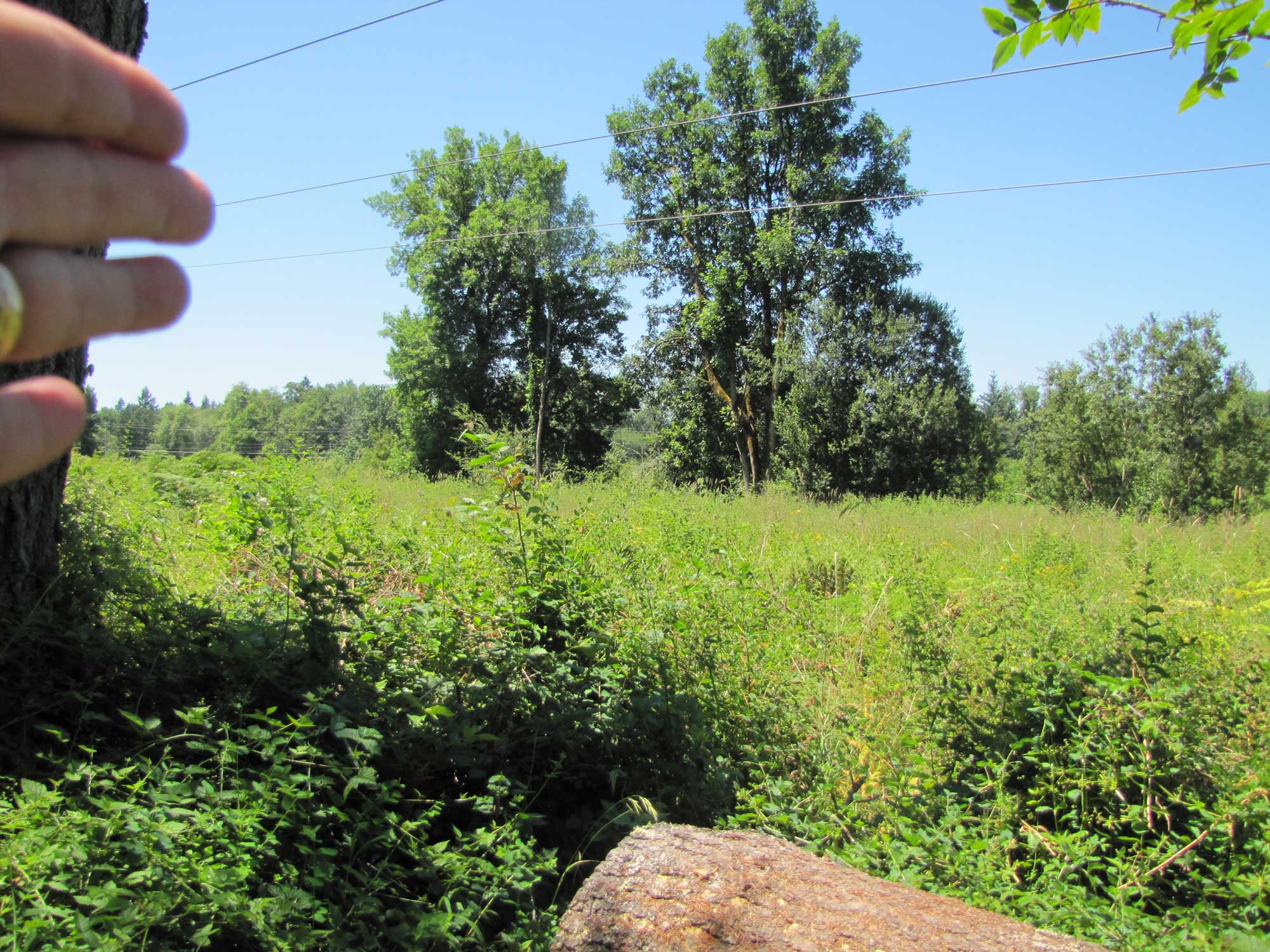 Summer 2017 Photopoint 7B