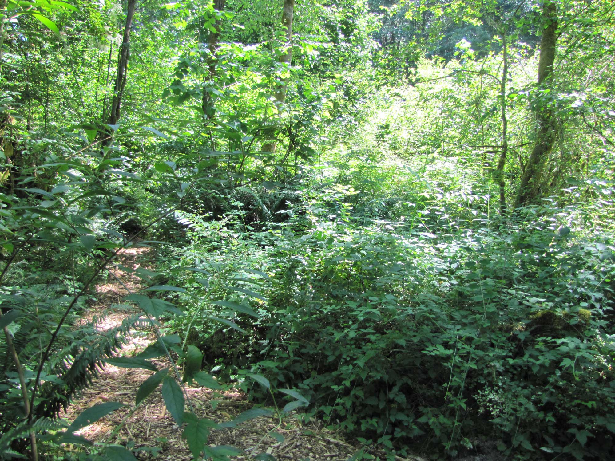 Summer 2017 Photopoint 8B