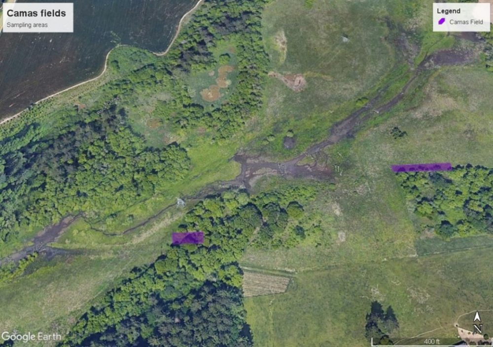 Aerial image of RCESC wetlands and locatin of camas fields