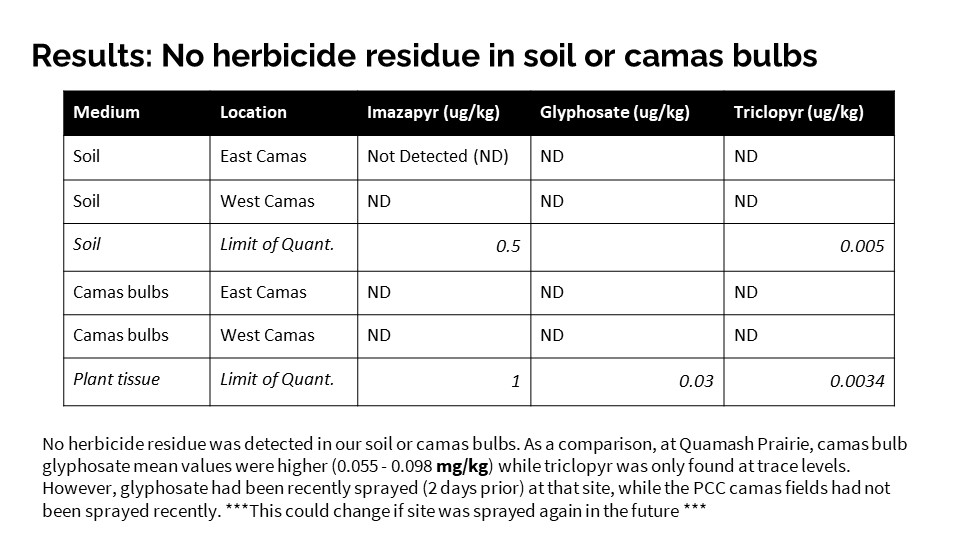 Table showing that no herbicide residue was detected in soil or plant samples. 