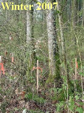 Area 1 - Winter 2007