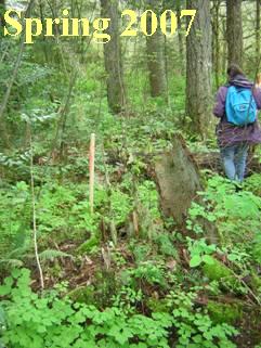 Area 2 - Spring 2007