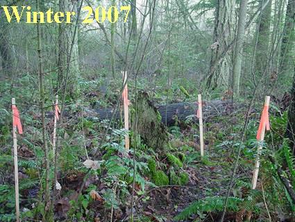 Area 2 - Winter 2007