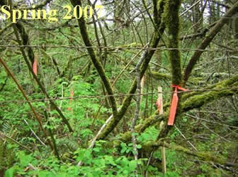 Area 3 - Spring 2007