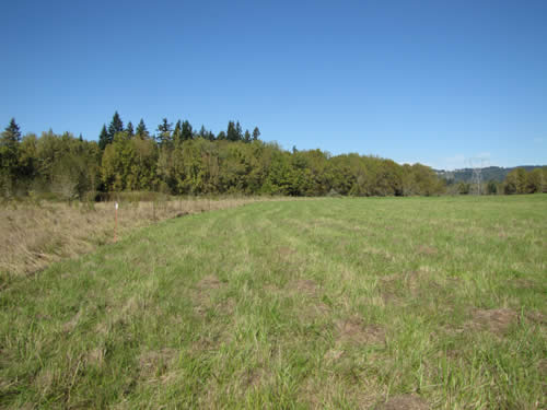 Wet Meadow - 6A - Summer 2013