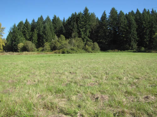 Wet Meadow - 6B - Summer 2013