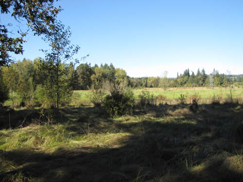 Meadwo - 11D - Summer 2013