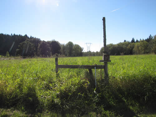 Meadow - 12B - Summer 2013