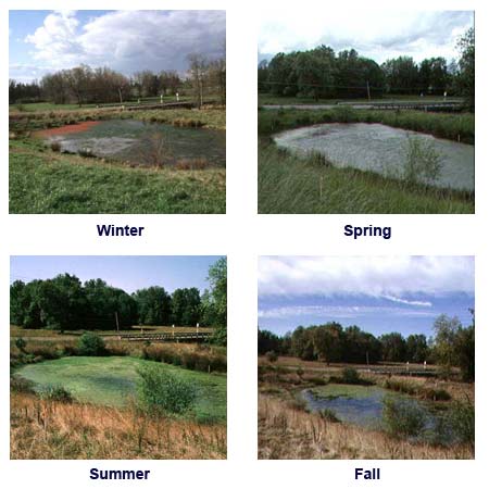Riparian seasonal photos