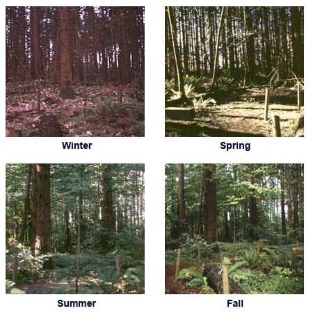 Upland seasonal photos