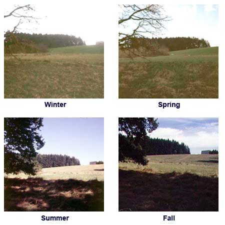 Wet Meadow seasonal photos