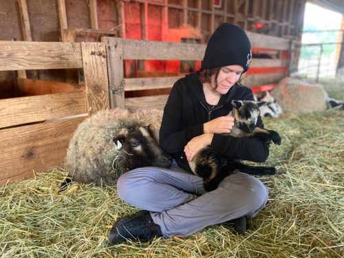 Employee holding a lamb next to the mama