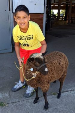 Farm Camp, Dharya R. and Aloe