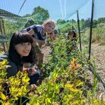 Farm Camp, Tess M. and Emmy S. picking blueberries