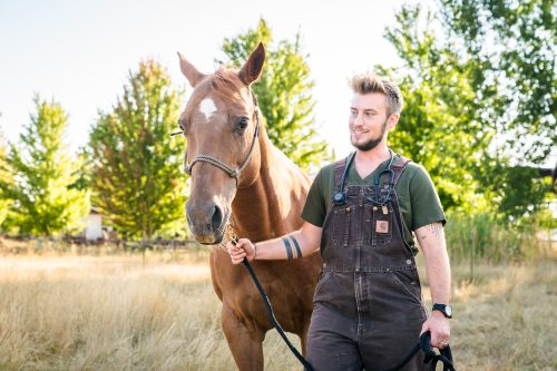 vet etch student with a brown horse