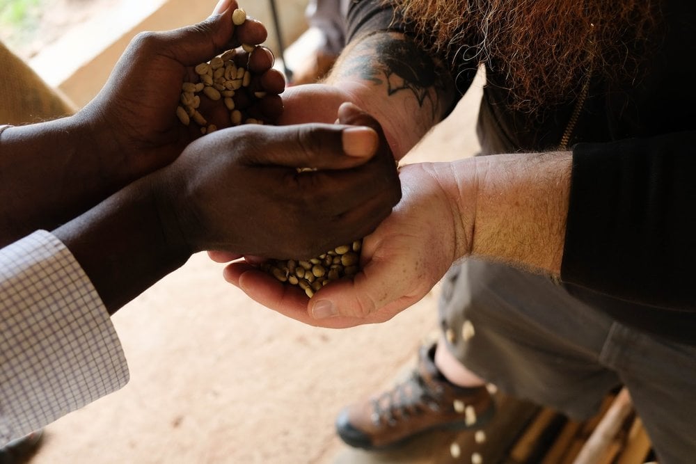 hands_sharing_coffee_beans