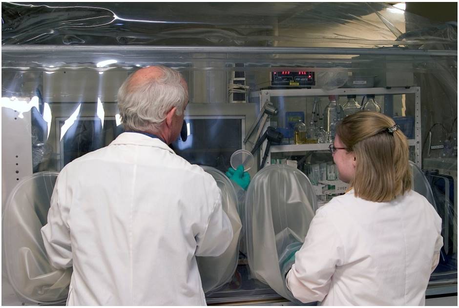 Annie Crater working in an anaerobic glove chamber.