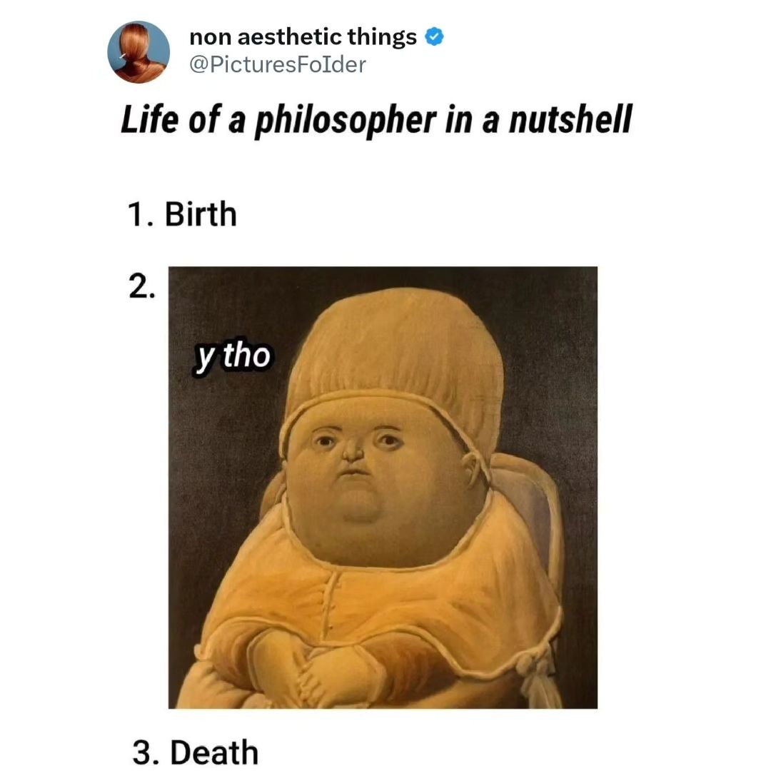 Life of a philosopher meme with life being "y tho"