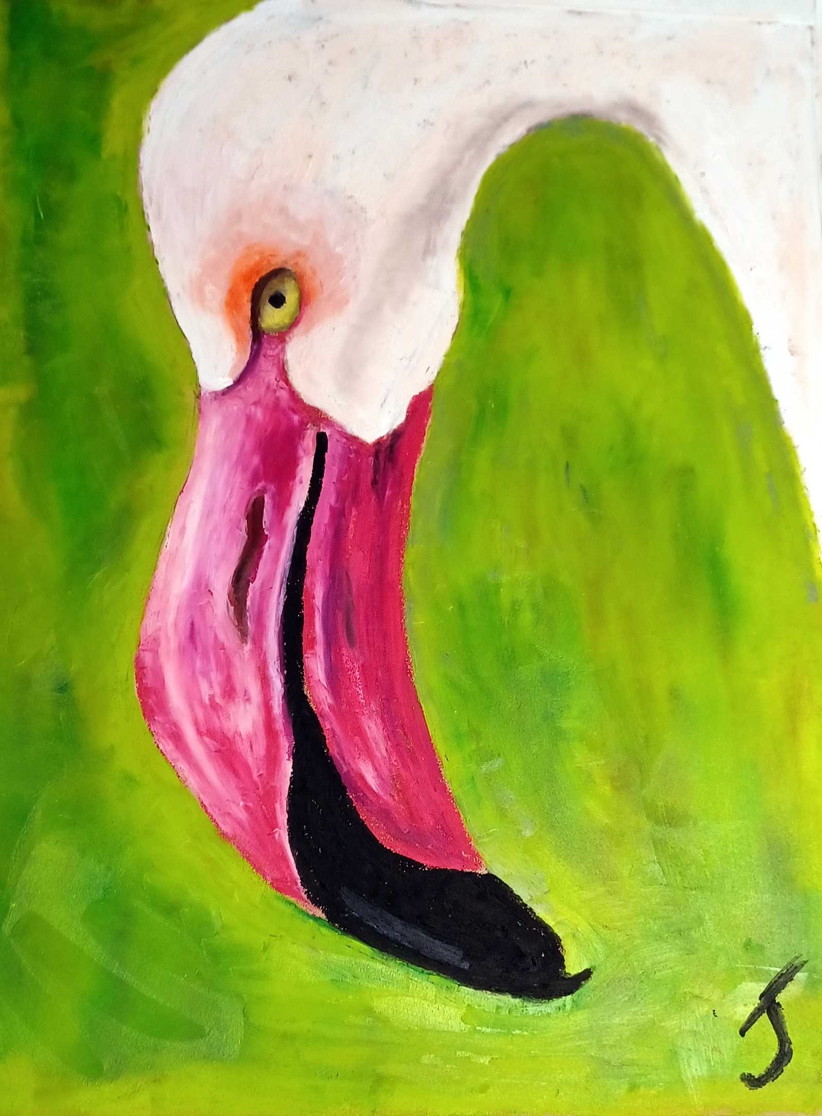Sole Flamingo