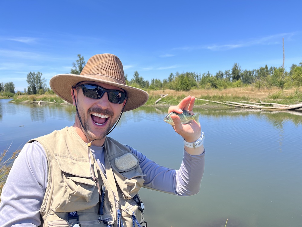 An angler in fly fishing gear holds up a bluegill they caught at St. Louis Ponds