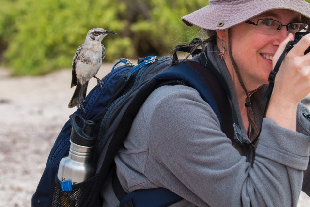 Picture of Myself and a Mockingbird