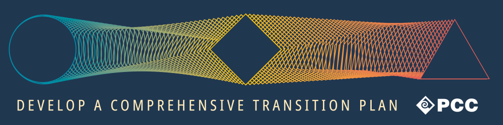 Develop a comprehensive transition plan