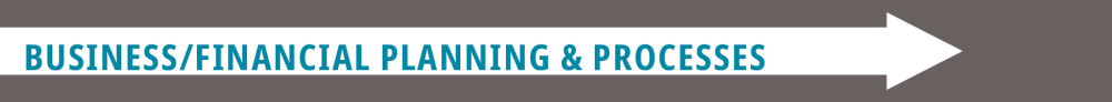 Business / financial planning and processes