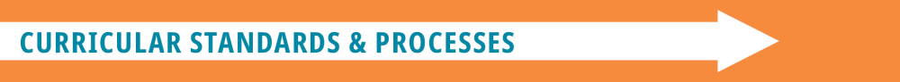 Curricular standards and processes