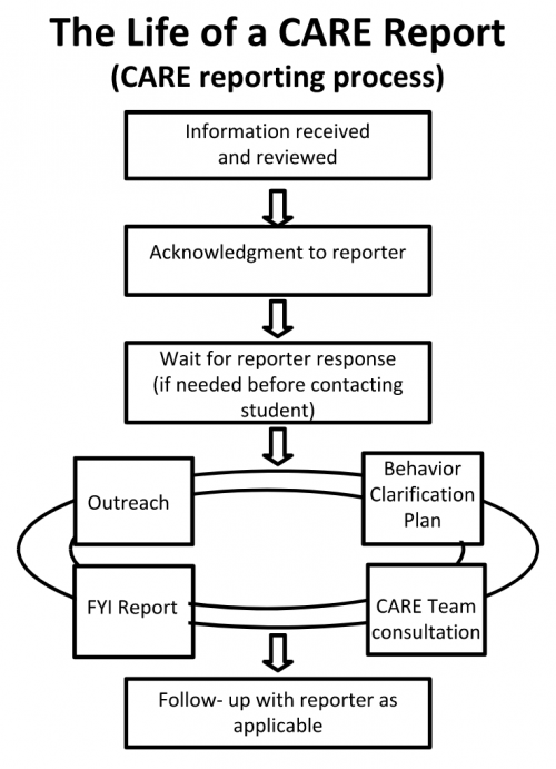 The CARE workflow - image described by numbered steps on this page