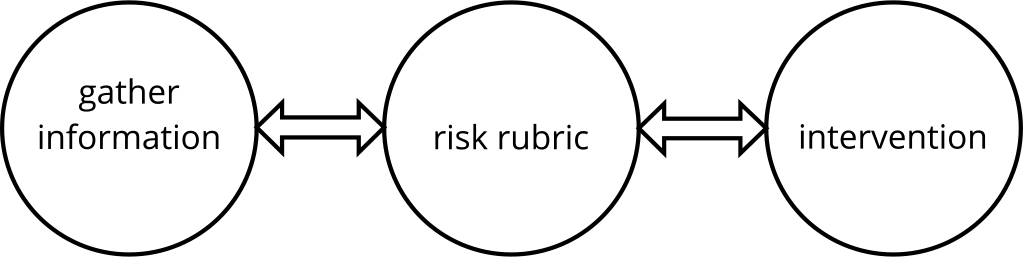 three words connected with bi-directional arrows: gather information, risk rubric, intervention