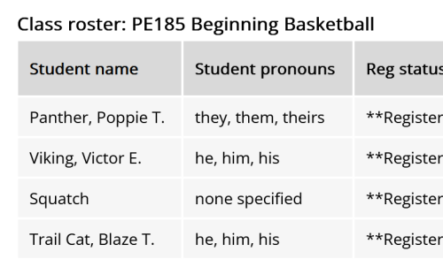 Screenshot of a class roster for Beginning Basketball showing Poppie the Panther (they, them, theirs), Victory E. Viking (he, him, his), Squatch (none specified), Blaze the Trail Cat (he, him, his)