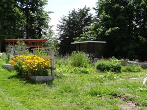 Learning Garden