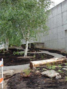 Wildflower Display Garden