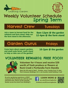 SpringVolunteerSchedule (1)