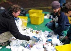 Sorting through recylcling bins