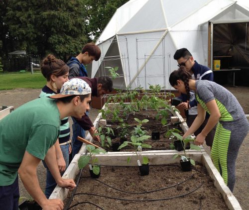 Learning Garden