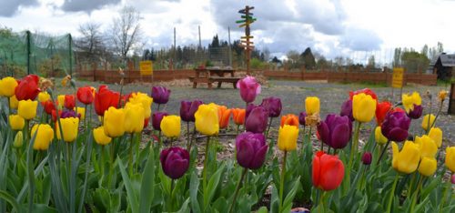 The Learning Garden