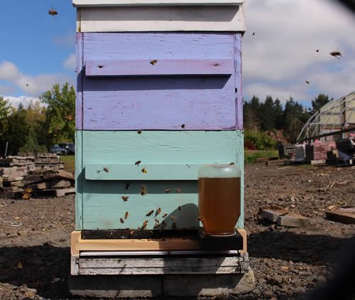 Rock Creek Campus Apiary