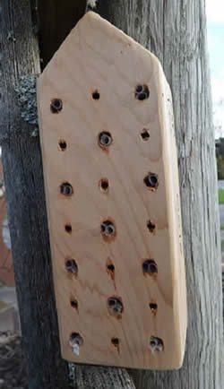 wood block mason bee houses at RC